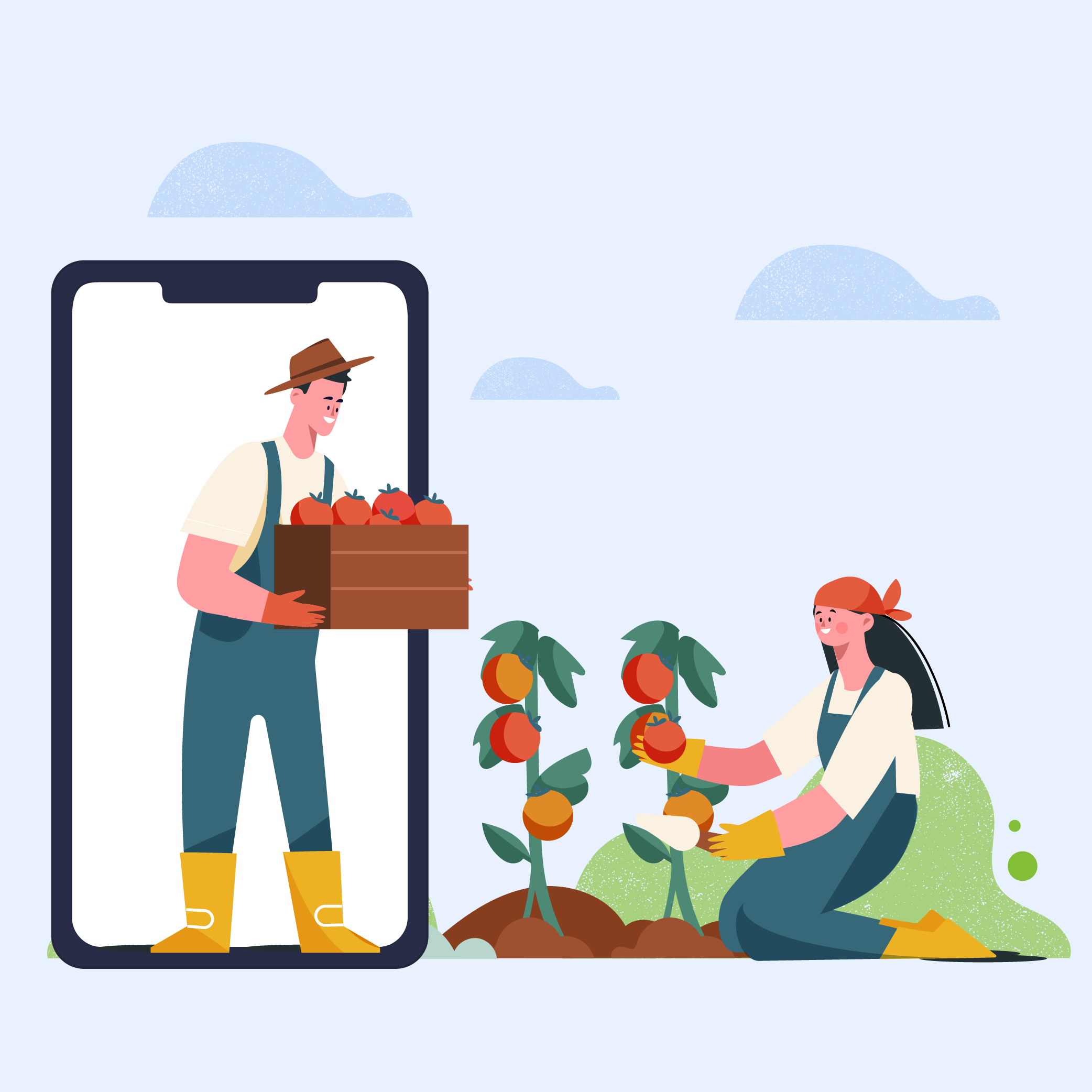 Build An Organic E-commerce Platform