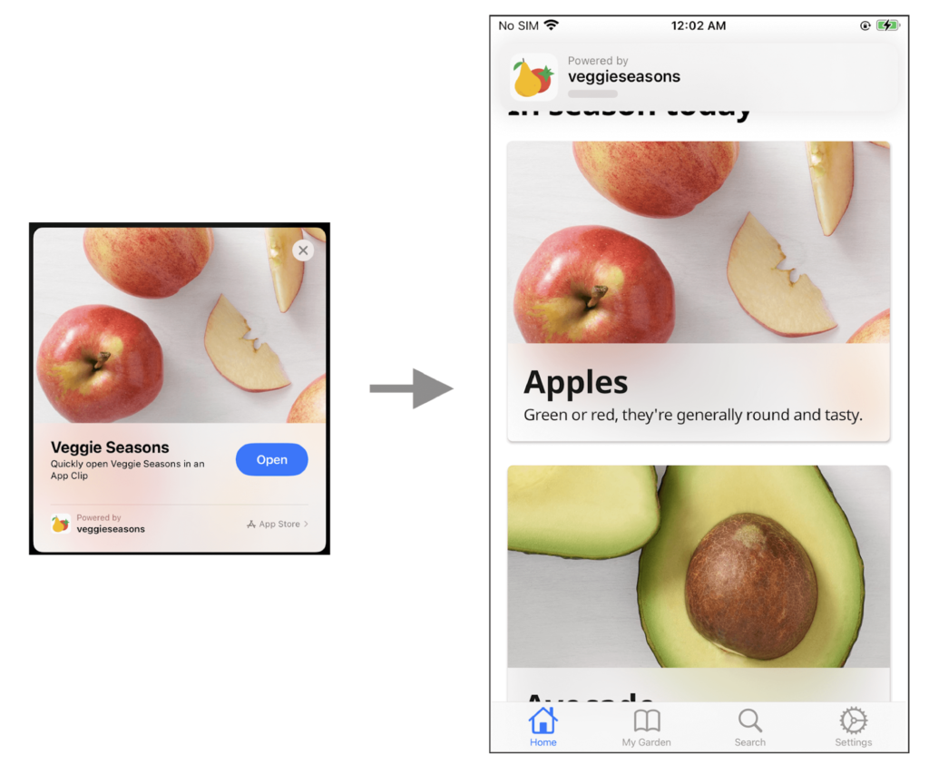 flutter app clips support
