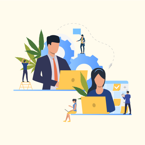 successful tips for cannabis enterpreneurs