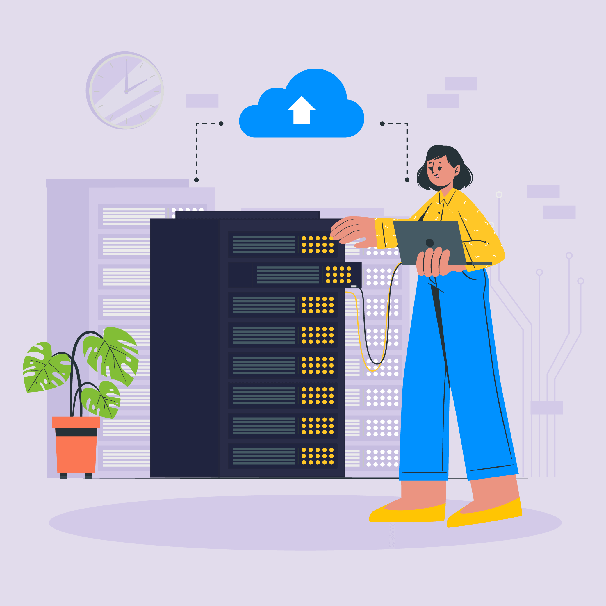 web development solutions